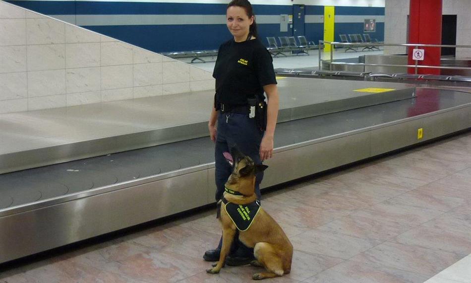 2015-3-12-818boxy foto 4.jpg